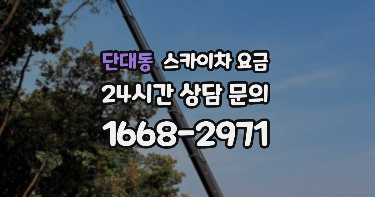 단대동 스카이차 요금