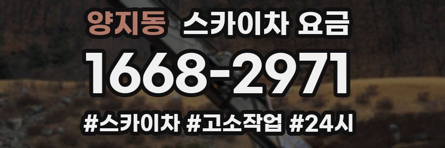 양지동 스카이차 요금