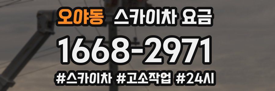 오야동 스카이차 요금