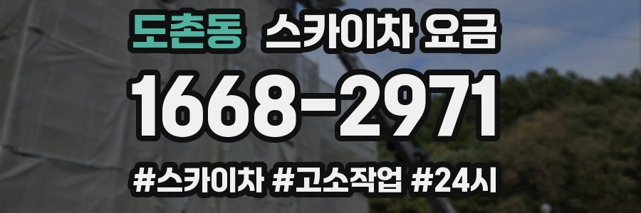 도촌동 스카이차 요금