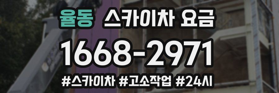 율동 스카이차 요금