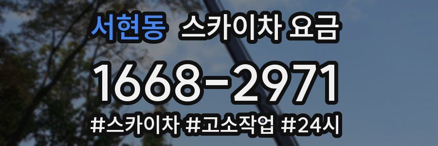 서현동 스카이차 요금