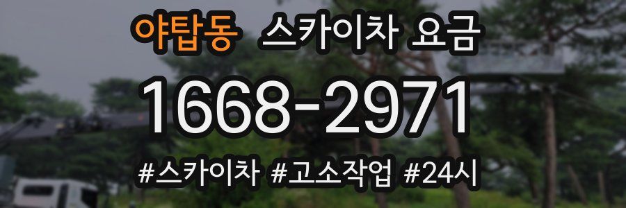 야탑동 스카이차 요금