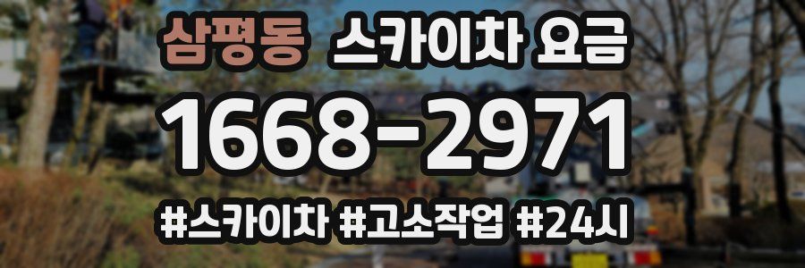 삼평동 스카이차 요금