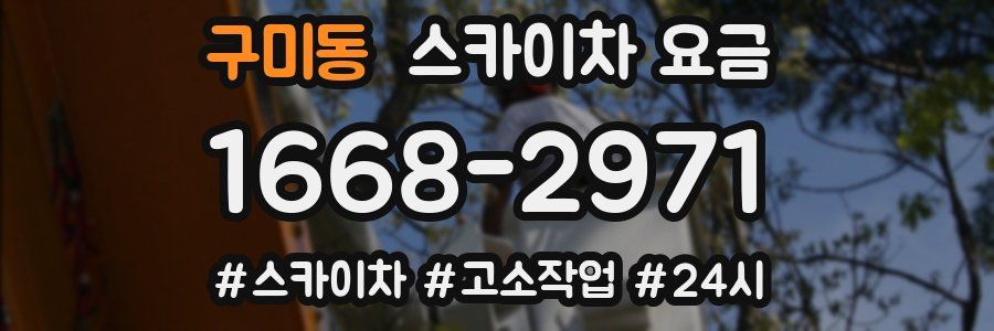 구미동 스카이차 요금