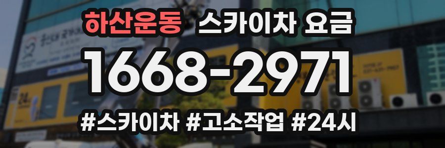 하산운동 스카이차 요금