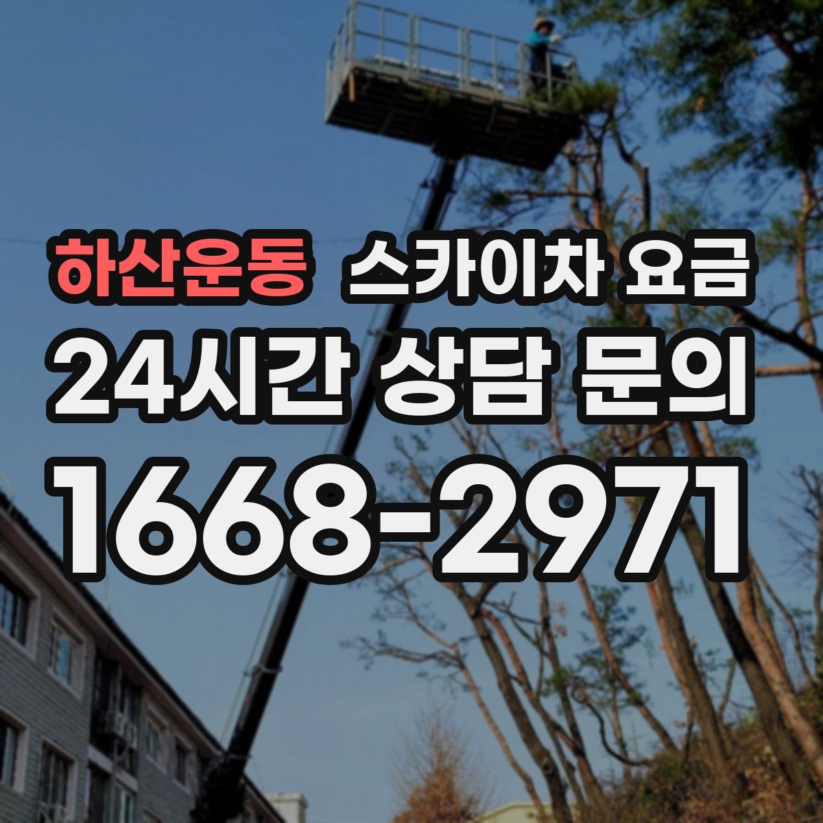 하산운동 스카이차 요금