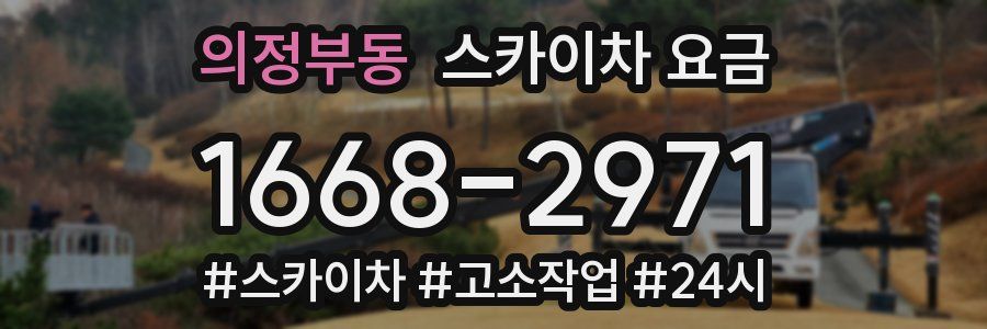 의정부동 스카이차 요금