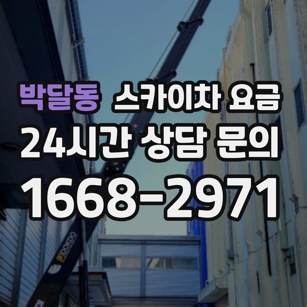 박달동 스카이차 요금