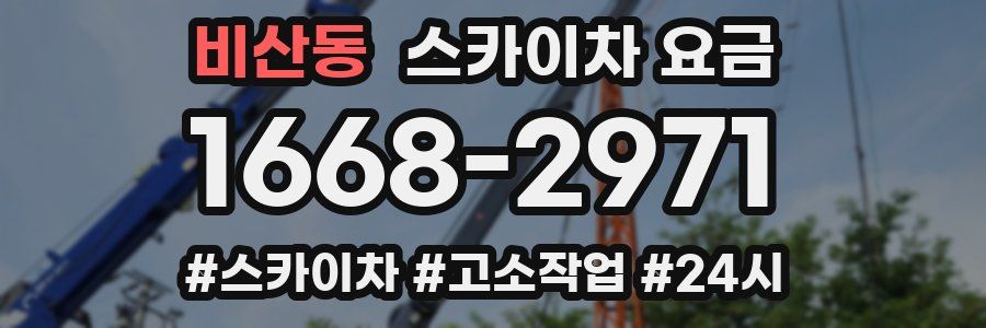 비산동 스카이차 요금