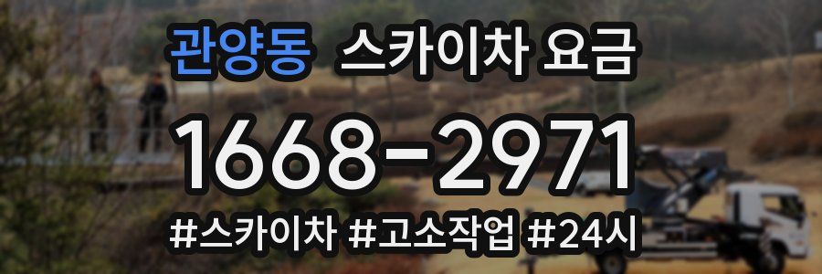 관양동 스카이차 요금