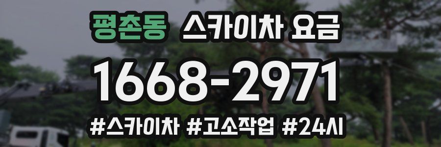 평촌동 스카이차 요금