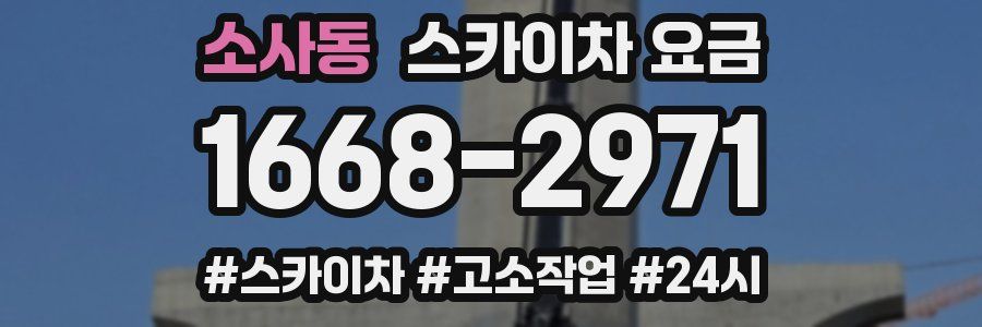 소사동 스카이차 요금