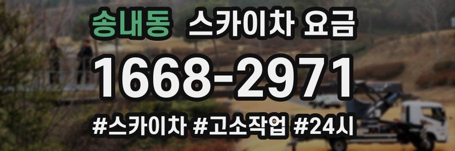 송내동 스카이차 요금