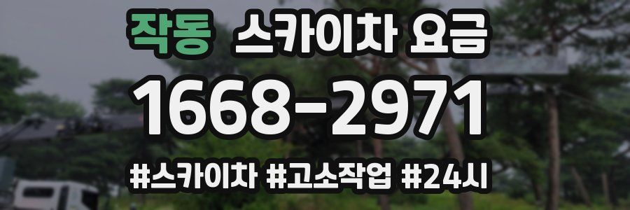 작동 스카이차 요금