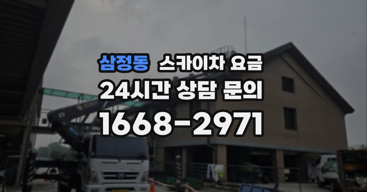 삼정동 스카이차 요금