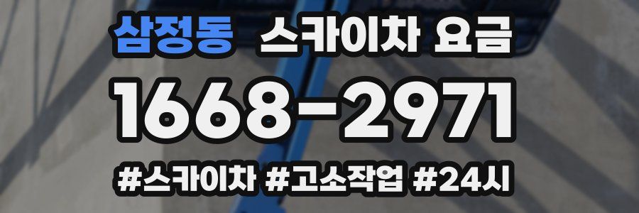 삼정동 스카이차 요금