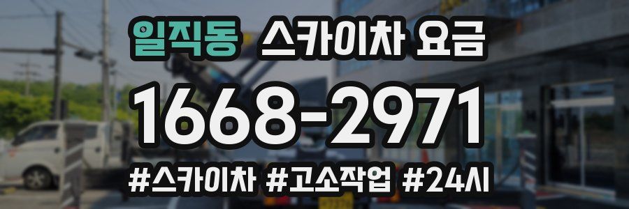 일직동 스카이차 요금