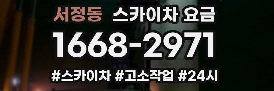 서정동 스카이차 요금