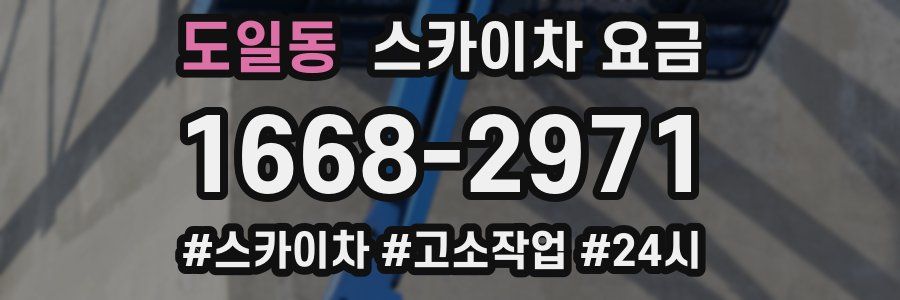 도일동 스카이차 요금