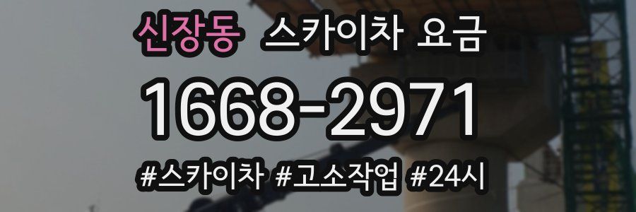 신장동 스카이차 요금