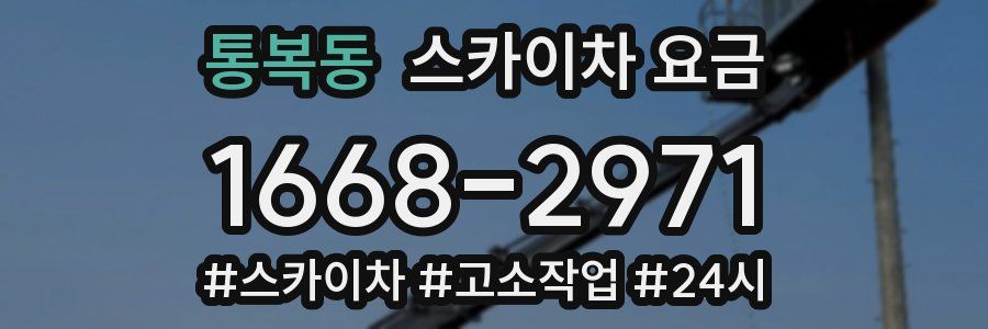 통복동 스카이차 요금