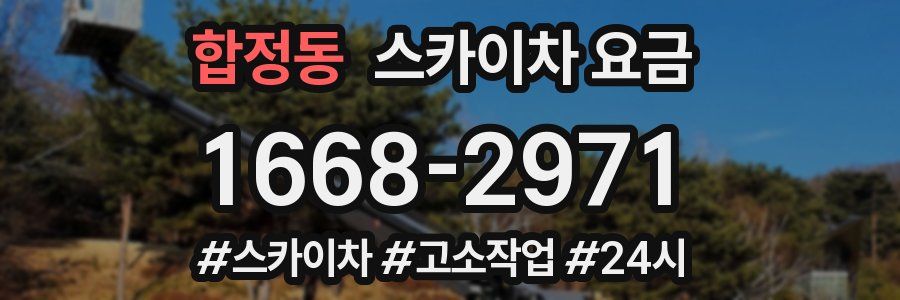 합정동 스카이차 요금