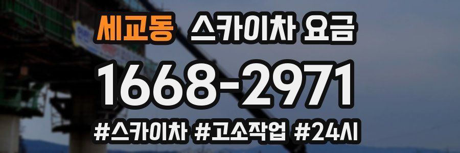 세교동 스카이차 요금