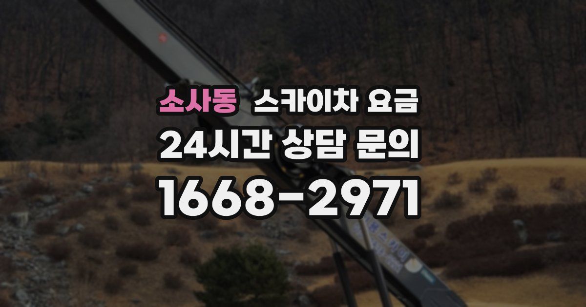 소사동 스카이차 요금