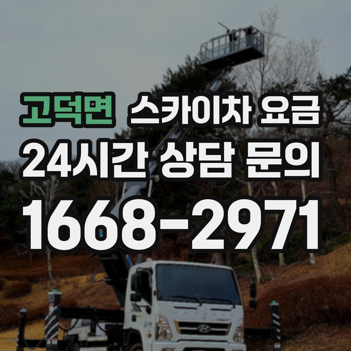 고덕면 스카이차 요금