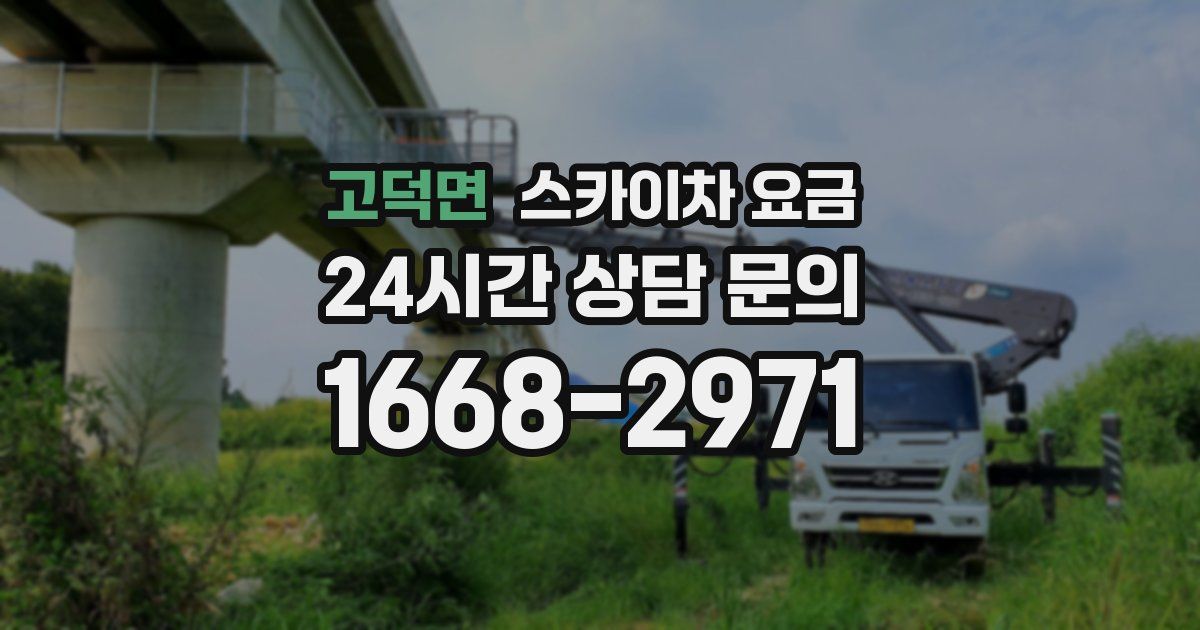 고덕면 스카이차 요금