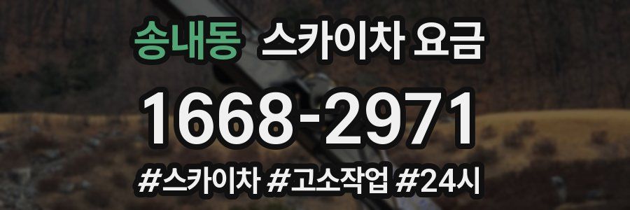 송내동 스카이차 요금