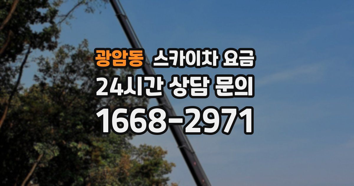 광암동 스카이차 요금