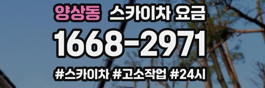 양상동 스카이차 요금