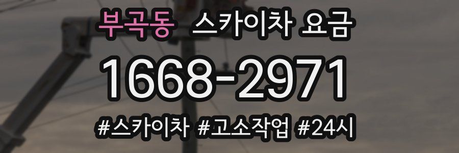 부곡동 스카이차 요금