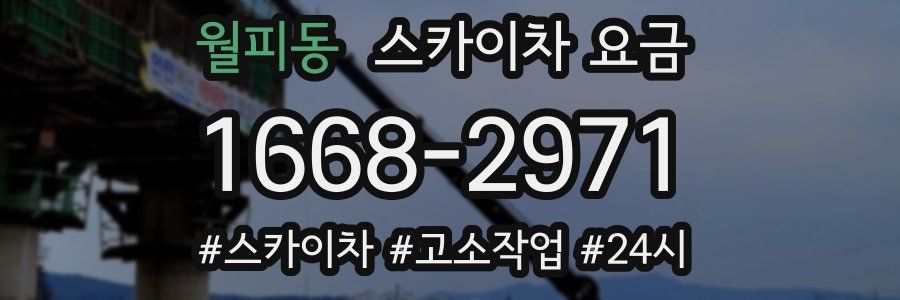 월피동 스카이차 요금