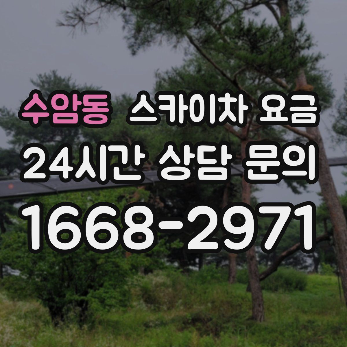 수암동 스카이차 요금