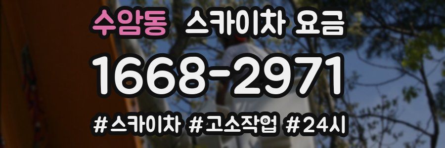 수암동 스카이차 요금