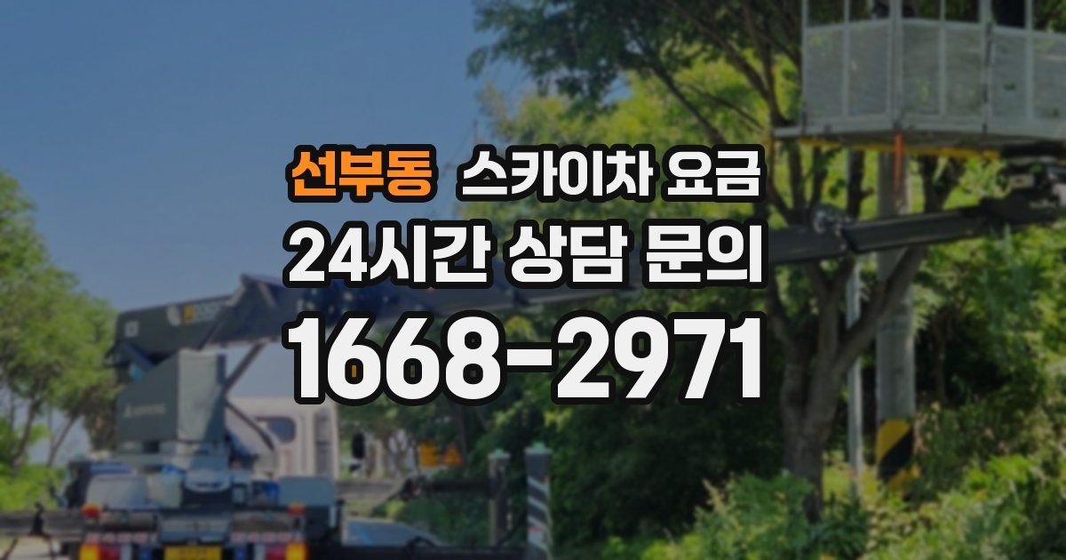 선부동 스카이차 요금