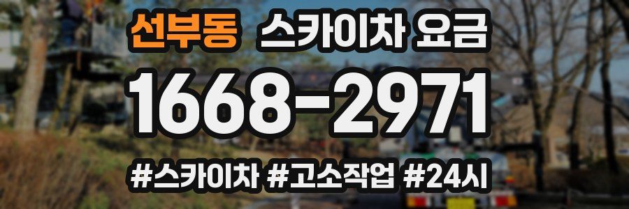 선부동 스카이차 요금