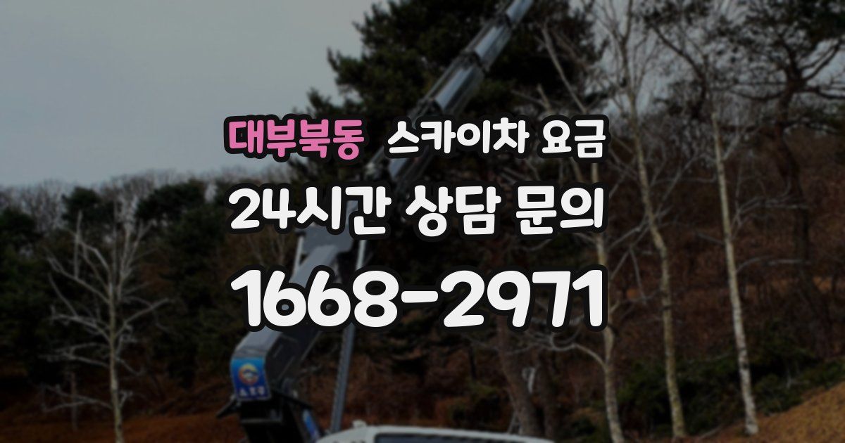 대부북동 스카이차 요금