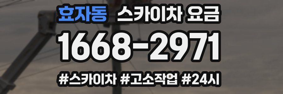 효자동 스카이차 요금