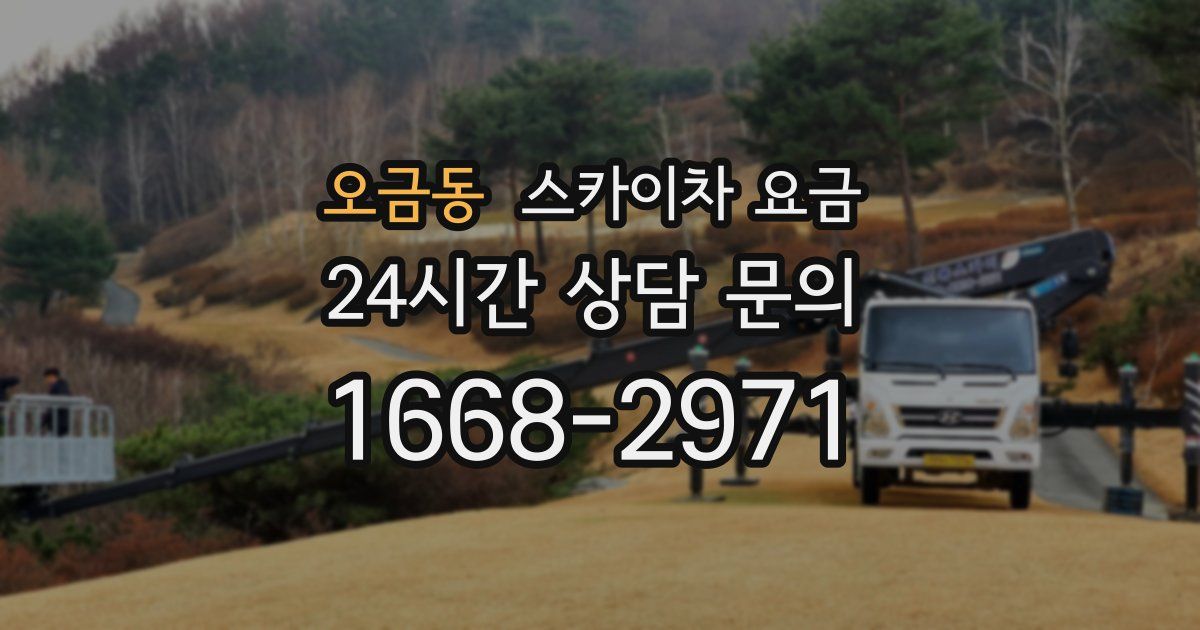 오금동 스카이차 요금