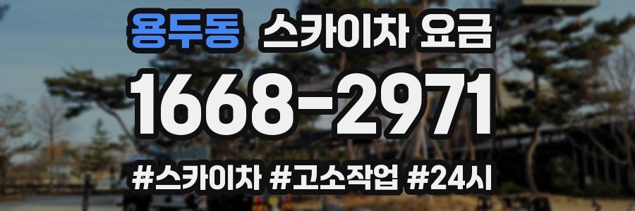 용두동 스카이차 요금