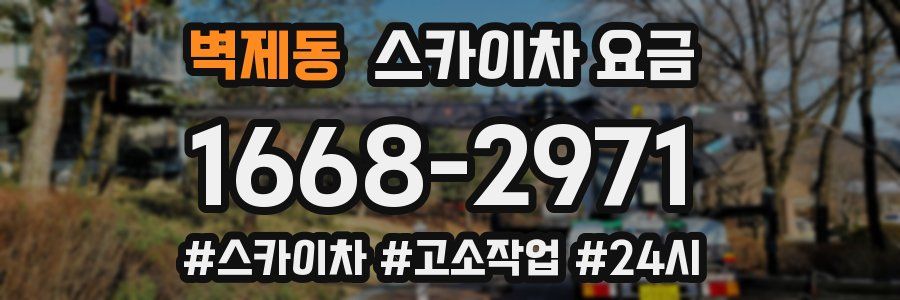 벽제동 스카이차 요금