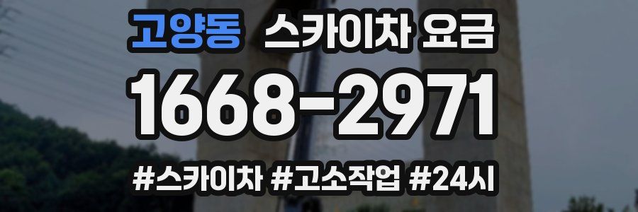 고양동 스카이차 요금