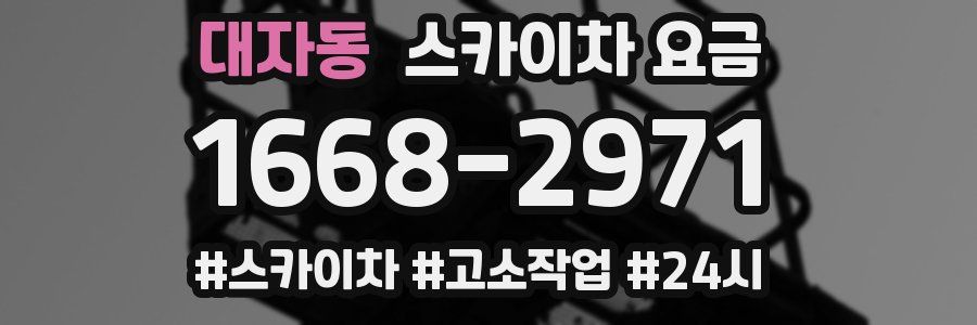 대자동 스카이차 요금