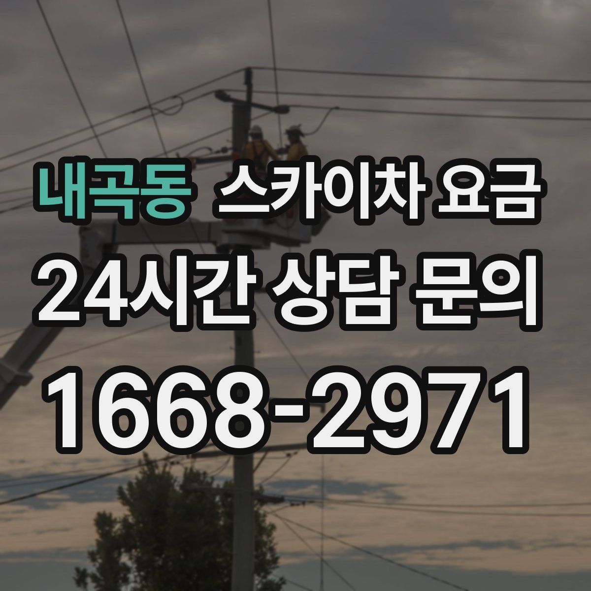 내곡동 스카이차 요금