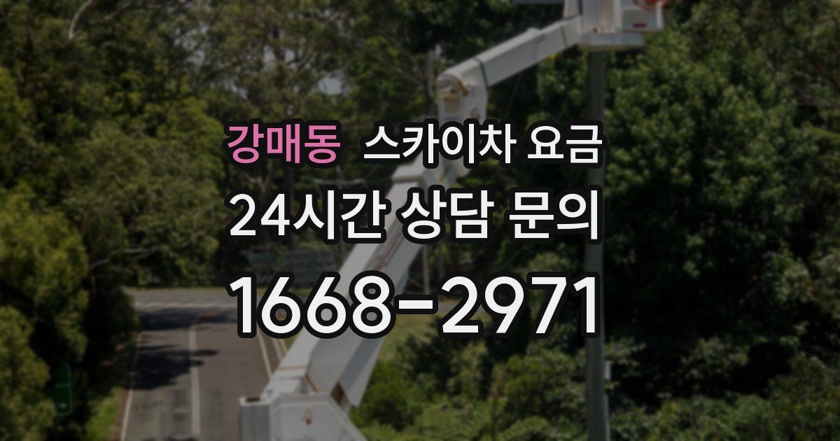 강매동 스카이차 요금