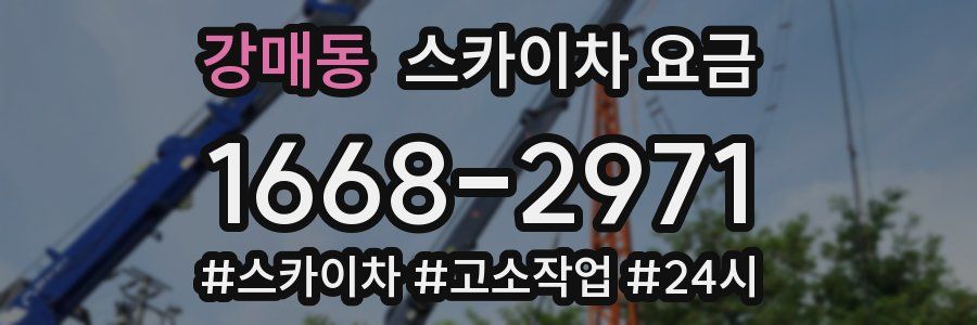 강매동 스카이차 요금